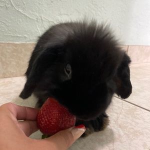 Meet your Posher, Karla